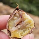 충주농장 이미지