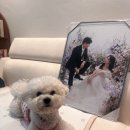 몽실헤어샵 | S20 | 루미에스튜디오 액자 수령 후기✨