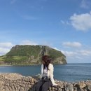 골든튤립제주성산호텔 | 동쪽 3박4일 여행코스 추천 2일차 (세화해변, 카페공작소, 청파식당횟집, 우도, 프릳츠성산, 골든튤립호텔)
