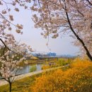 월운경로당 이미지