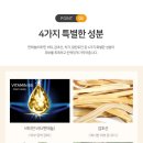 루바토 이미지