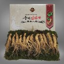 대경인삼 쇼핑하우