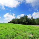 석양목장 이미지