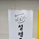 설렘고양이카페 이미지