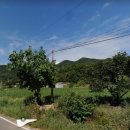 속리산건강원