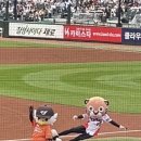 눈썹빨 Daum카페