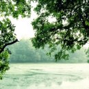 영통에이스치과의원 이미지