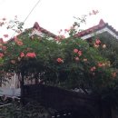 만수4동-10 네이버블로그
