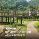 홍천여행 아이들 만족도 최상 ! 아이랑 가기좋은 야외 수타사농촌테마공원 ㅣ무료체험정보