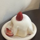 토터스