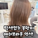 채하 | 창원 미용실 추천 비비엔느헤어 상남점 채하디렉터 애쉬브라운 염색솔직 후기