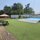 썸바디독스 이미지