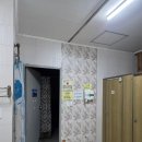 홍천 알프스밸리 캠핑나라 별빛마당 7번