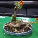 합천군 골프연습장 이미지