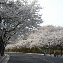 한전사택 이미지