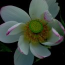 군포문화원 이미지