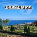 농업회사법인 (주)해우리팜2농장 | 경북 영덕군 주관하고 팜그로브 주최한 그림힐링테라피 후기