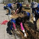 철쭉동산 이미지