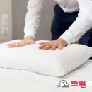 세탁의 신 이미지