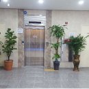 신월골프존 이미지