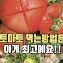 토마토밥 만들기 간단한 토마토 요리 올리브오일 전기압력밥솥 레시피 이미지