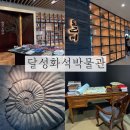 🦖대구 달성군 달성화석박물관 방문후기(돌삐카페, 뮤지엄샵, 화석도서관, 전시정보)
