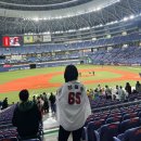 일본 오사카 교세라돔 / wbc 평가전 직관후기 / 한신타이거스 / 오릭스버팔로스