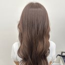 강남염색, 에이치브라운헤어살롱에서 애쉬브라운 추천받은 후기