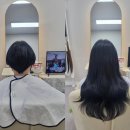 붙임머리