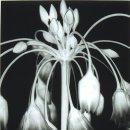 당신은 혼자가 아니 이미지