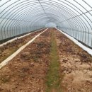 양자농장 이미지