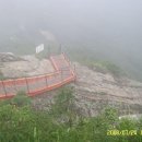 세봄공인중개사사무소 이미지