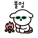 벨캠핑장 이미지