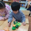 좋은열매어린이집 이미지