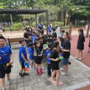 경희이기성태권도 이미지