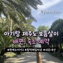 제주도 보름살이 배편(퀸제비누아), 숙소(함덕해밀타운) 내돈내산 예약후기