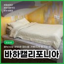 바하캘리포니아 | [충남태안] 바하캘리포니아펜션 : 가성비 좋은 가격으로 쭈꾸미낚시와 바베큐파티 및 조식까지 가능한 곳