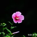 서방바위 Daum카페