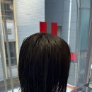 준오헤어 명동예술극장점 이미지