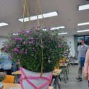 원예생활지도사 이미지