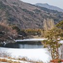 보은 삼년산성 Daum카페