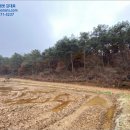 교로1리 마을회관 이미지