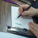 플러스펜 수채 캘리그라피 이미지