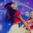 이바이브 이미지