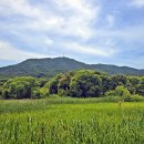 독립기념관 이미지