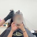 러블리 헤어샵 | 20년 경력이라 손이 아주 빠른 남포동미용실 김수진 헤어샵 뿌리염색후기