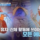 뷰티 헬스 밸런스