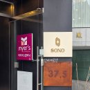 드레스 | 브라이덜 소노 촬영 드레스 후기