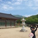 창원 의림사 삼층석탑 | [창원] 쉼이 필요할때 불모산 성주사 곰절 계곡 곰숲 숲길따라 나들이길 맨발걷기 템플스테이