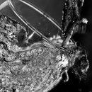 우리동네GYM 이미지